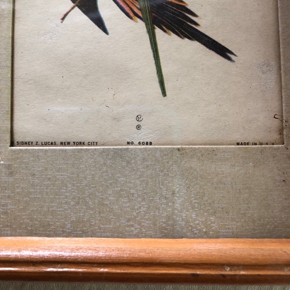 Sidney Z. Lucas New York City Framed Vintage Bird Prints - Picture 6 of 11
